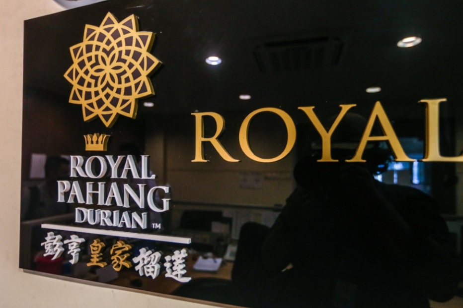 不与鲜果市场较高低 皇家榴莲专攻液氮榴梿出口